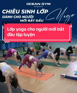 Tham gia ngay lớp yoga cho người mới bắt đầu 💓💓 #oceangym #gym #Fitness #zumba #yoga 