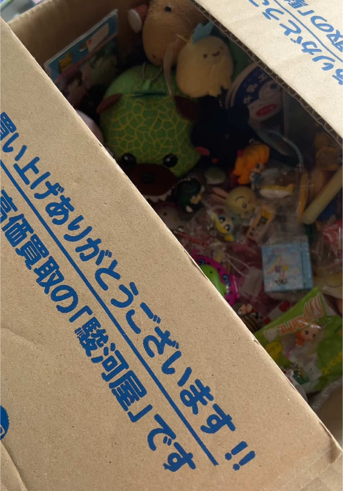 This is some of what ill have for Friday the 21st (*'ω'*)  #cabyrou #juminocore #stickers #japan #mercari #haul # ghibli #studioghibli #journal #stickerbook #unboxing #aesthetic #fyp