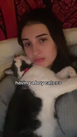 Every girl needs her boy kitty 💗 #mochi #catsoftiktok #kitten #cute 