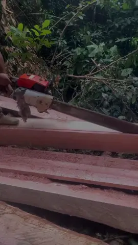 #lumber #woodenboard #chainsawskill #chainsawmill #ms070 