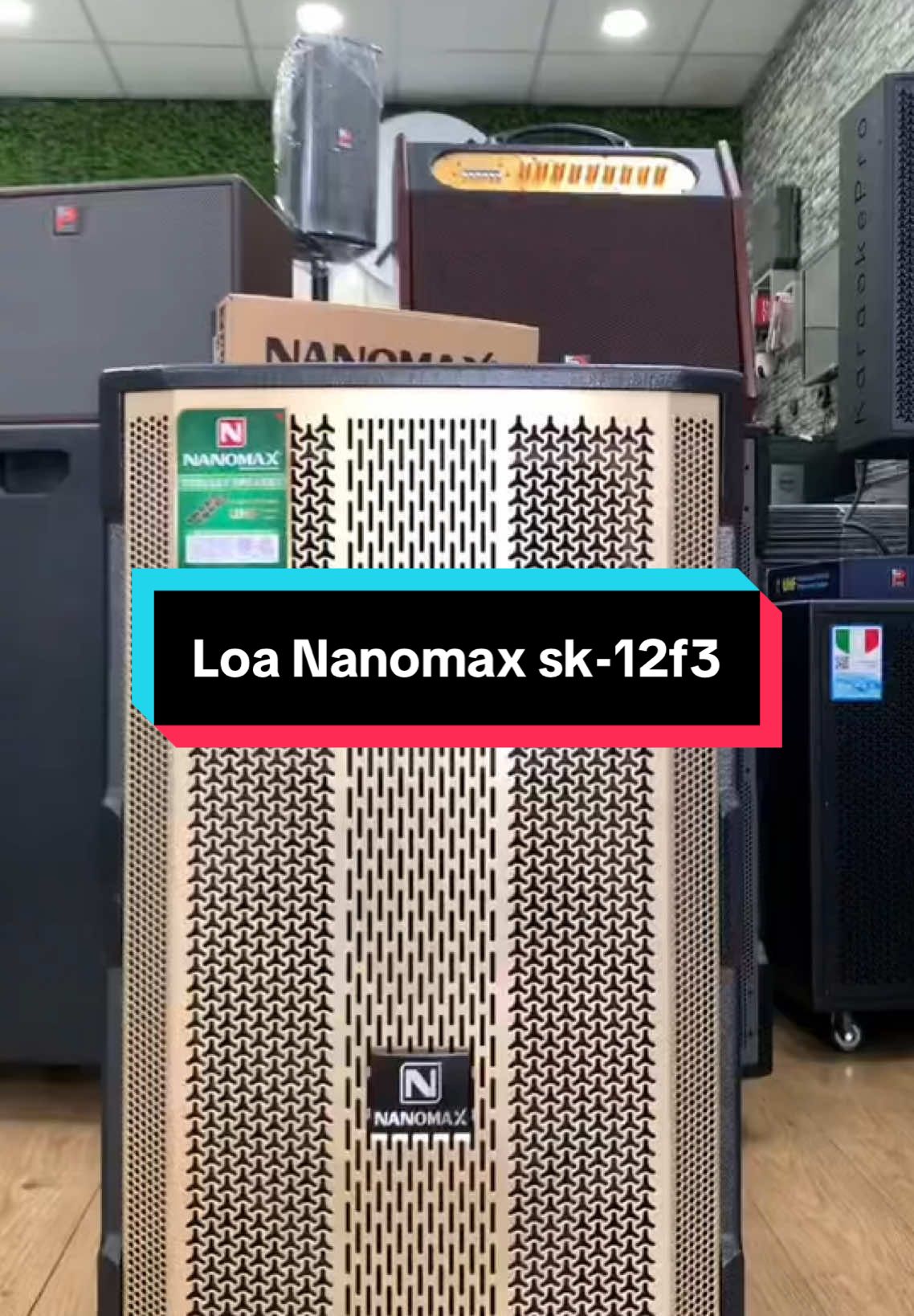 Loa Kéo Nanomax SK-12F3 Bass 30cm Công Suất 450w Karaoke Bluetooth đi kèm 2 Micro #loa #loabluetooth #loacongsuatlon #loanghenhac #loakeo #loakeokeo #loakeobluetooth #loakaraoke #loakaraokedidong #loakaraokebluetooth #loacaocap #loachinhhang #xuhuong #thinhhanh #hot #docongnghe 