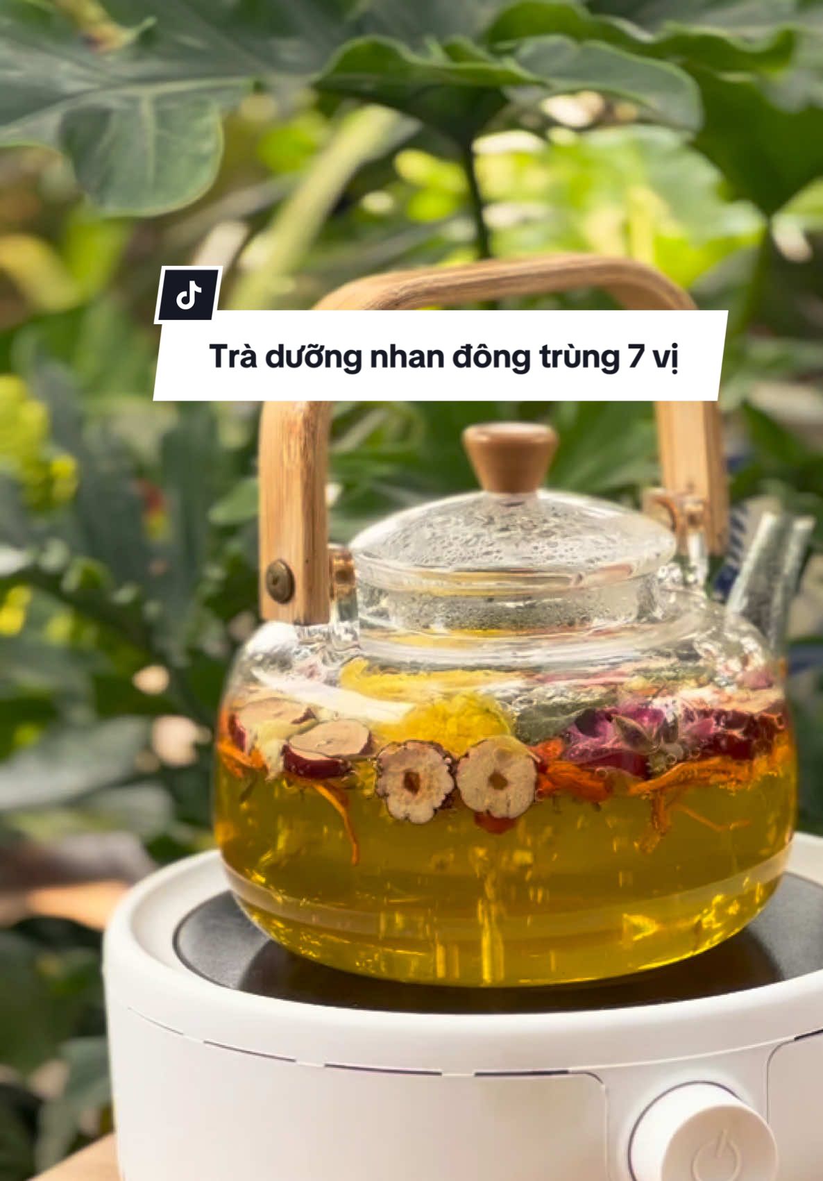 Bí quyết khoẻ đẹp, ngủ ngon của tôi đó mấy bà  Trà đông trùng 7 vị dưỡng nhan của nhà Mộc An Hạ nha  #trà #tràthảomộc #dưỡngnhan #7vị #thảomộc #MộcAnHạ #sứckhoẻ #xuhuong #đôngtrùnghạthảo #traduongnhanbayvi #muataitiktokshop #tuhaohangviet 