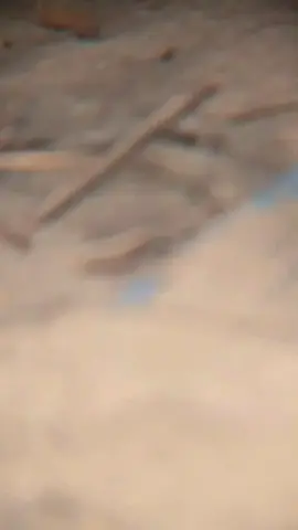 #pantaimawomba🌊 #selaluadaharapanfyp 