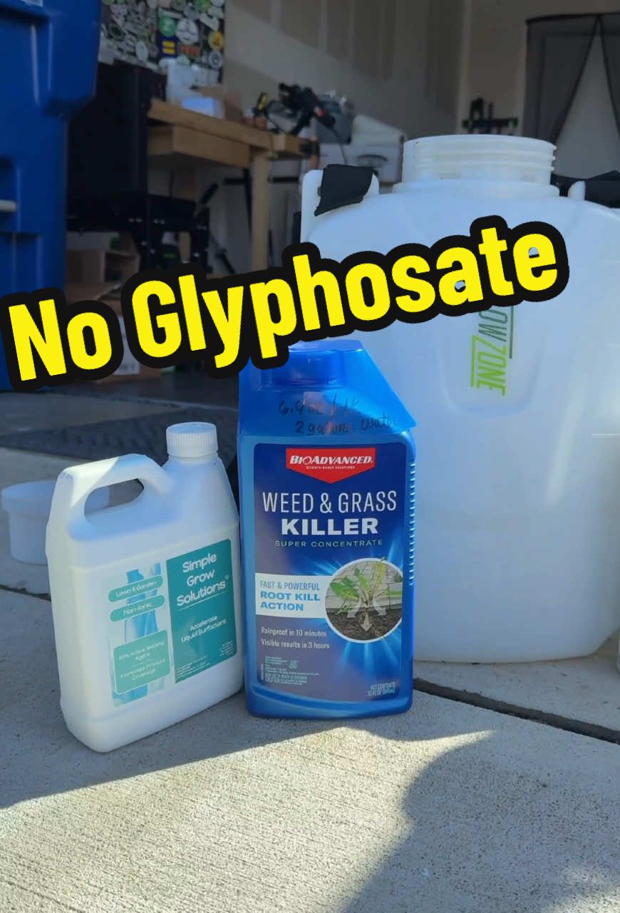 Red House - 2nd spray #lawncare #lawntips #newhome #weedcontrol #lawnweeds #newhomeowner  #creatorsearchinsights 