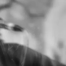 لا يرى هارباً بل يرى ضارباً: #دانيال_بوجبارة #مدد 