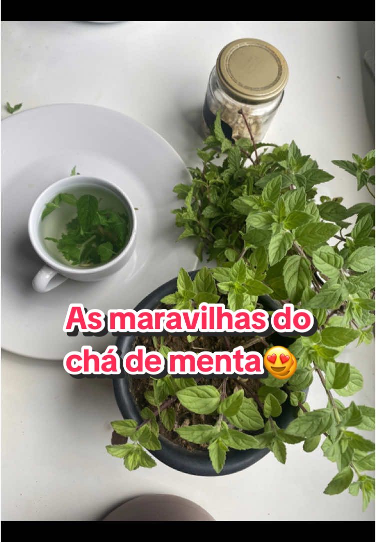 AS MARAVILHAS DO CHÁ DE MENTA 😍☝🏽.                                    São vários os benefícios para a saúde, como aliviar dores, melhorar a digestão e combater infecções.  Digestivo  Alivia náuseas, gases, indigestão e síndrome do intestino irritável.  Reduz a sensação de inchaço no estômago Promove a digestão após refeições pesadas Analgésico Reduz dores de cabeça tensionais, Alivia cólicas.  Antioxidante  Combate radicais livres, ajudando a reduzir o risco de desenvolver problemas crônicos de saúde e até alguns tipos de câncer Respiratório  Desobstrui as vias aéreas em casos de resfriado Reduz a irritação na garganta e a tosse Limpa os pulmões Antimicrobiano  Atua contra concentrações maléficas de bactérias no intestino como E. coli e H. pylori Outros benefícios Alivia enxaquecas, dismenorréias (dor pélvica que surge no primeiro dia do período menstrual), fadiga e sinusite  Pode ser um aliado para quem busca o emagrecimento  A menta é rica em diversas vitaminas como as do complexo B, vitamina C, D e E e também é fonte de minerais como cálcio e fósforo.         Enfim mais uma maravilha que a natureza nos proporciona 😍🙏🏽.           #natureza     #saude   #tik_tok  @Elyane Gomes 