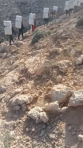 السلوم ي كبدي 🦅