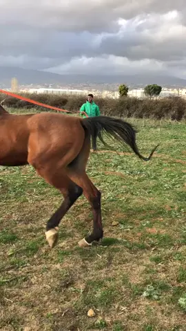 #فرح 🧿