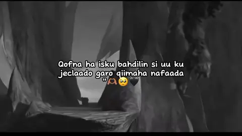 #somalitiktok #frialvideo #foryoupage #fypシ゚ #writerEVC🤴 #somalitiktok 