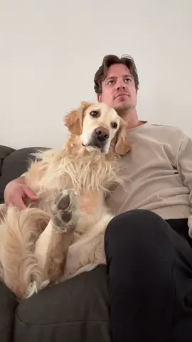 Don’t worry, she’s a big basketball fan! Who are you rooting for? @March Madness @NCAA March Madness . . #MarchMadness #bracketschallenge #loveisblind #loveisblindnetflix #goldenretriever 