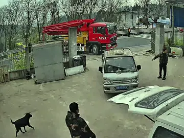 lucky epileptic dog my brother learned first aid before that lucky  #animals #animal #dog #dogsoftiktok #fyp #fypシ 