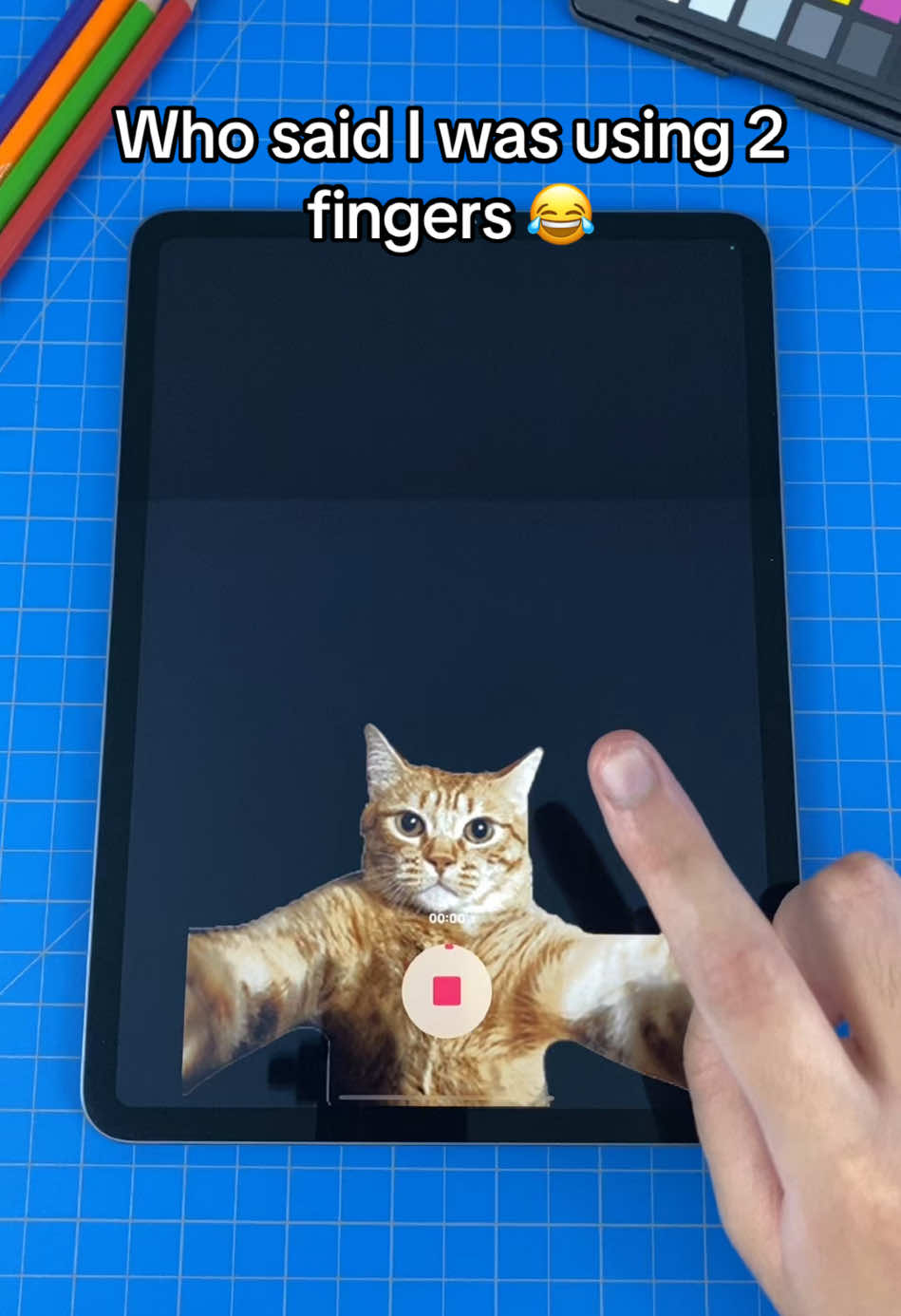 Here’s the proof kids ☝️😹 #cat #catselfie #filter 