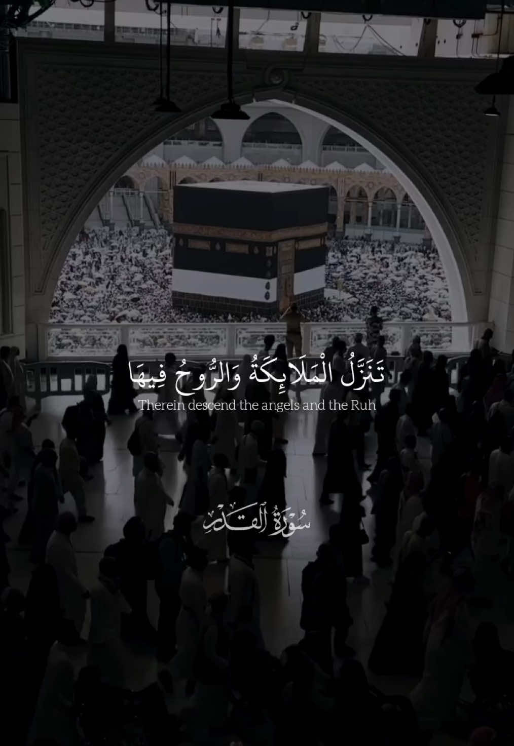 إنا انزلناه في ليلة القدر || ماهر المعقيلي - حساب القران والقناه بالبايو فيها شرح التصاميم #قران #quran 