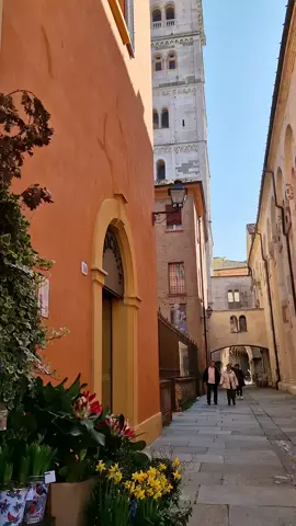 Spring and Modena 🌷☀️☕️ #spring #modena #fyp #neiperte #foryoupagе #xzyabc #aestheticvideos #viralvideos 