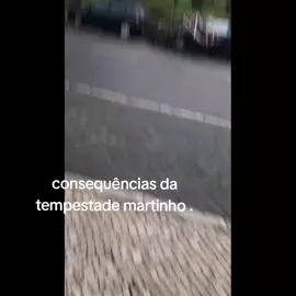 consequências da tempestade martinho. Lisboa(olivais)