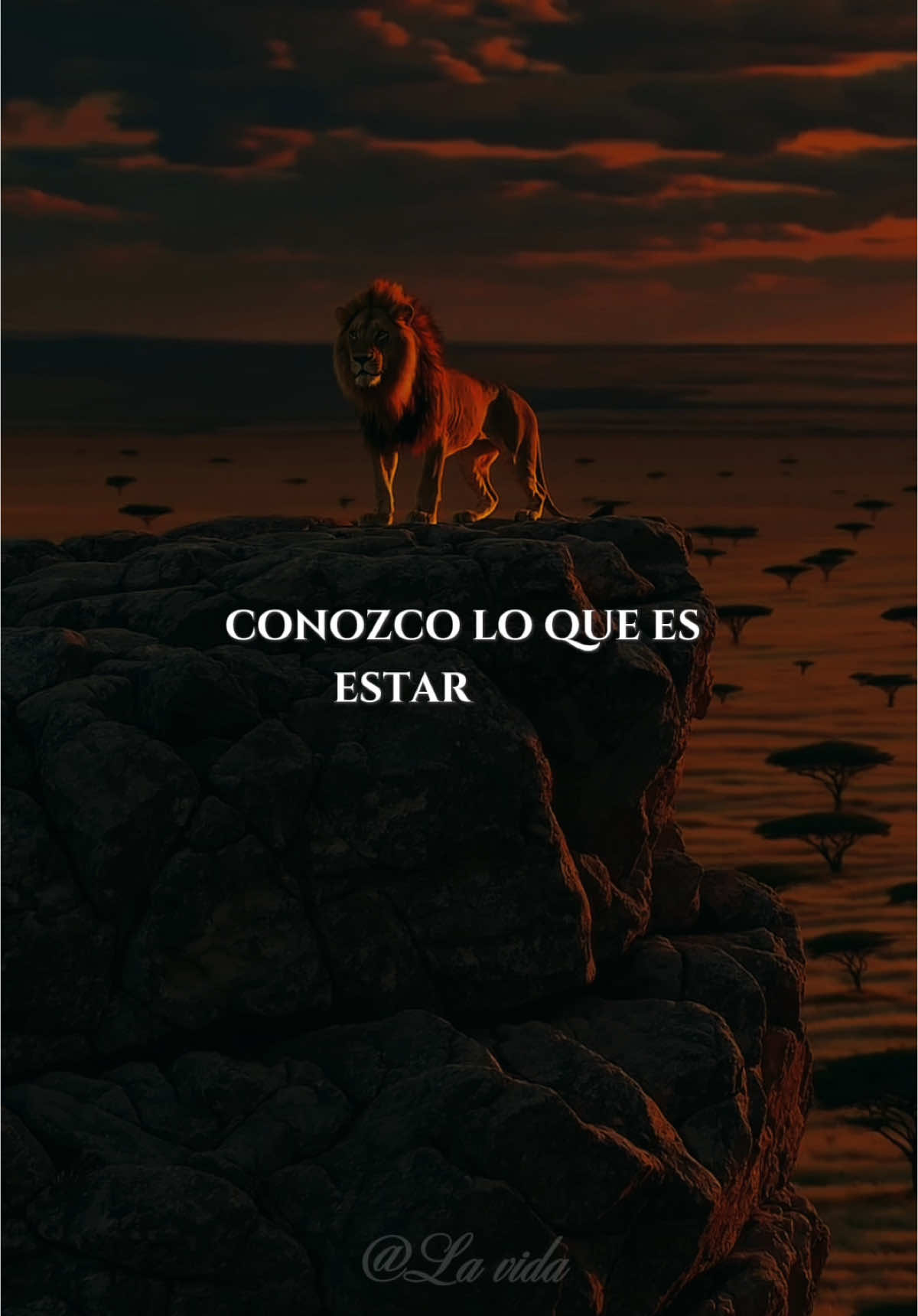 #reflexion #refleccionesdelavida #Motivacional #esperanza #fe #Dios #actitudpositiva #motivacion #exitopersonal 