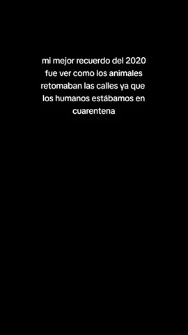 #NIUNABRAZOMAS #fyp 