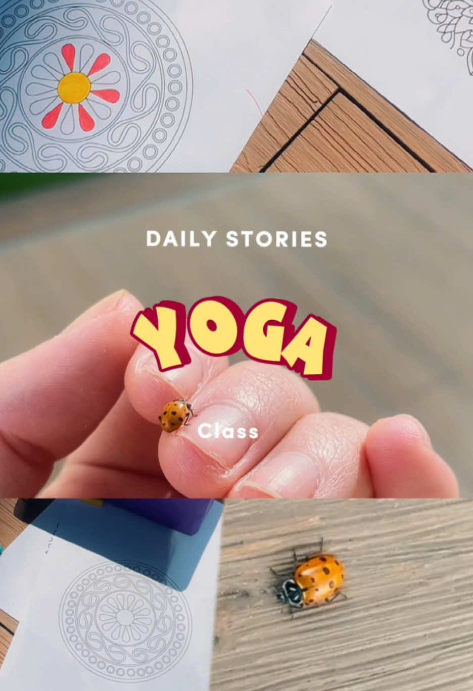 Día 3 de yoga: estrenando mi nuevo mat 🧘‍♀️🐞💕 10/10 si lo recomiendo 🫶🏼 siempre con mi @𝚂𝚘𝚢𝙺𝚎𝚛𝚎𝚗➳  y la mejor maestra @Dani.yogui.ballerina  💕.           #bootcampuntalfredo #yoga #yogamat #yogamatamazon #yogaclass #clasedeyoga #dailyvlog 