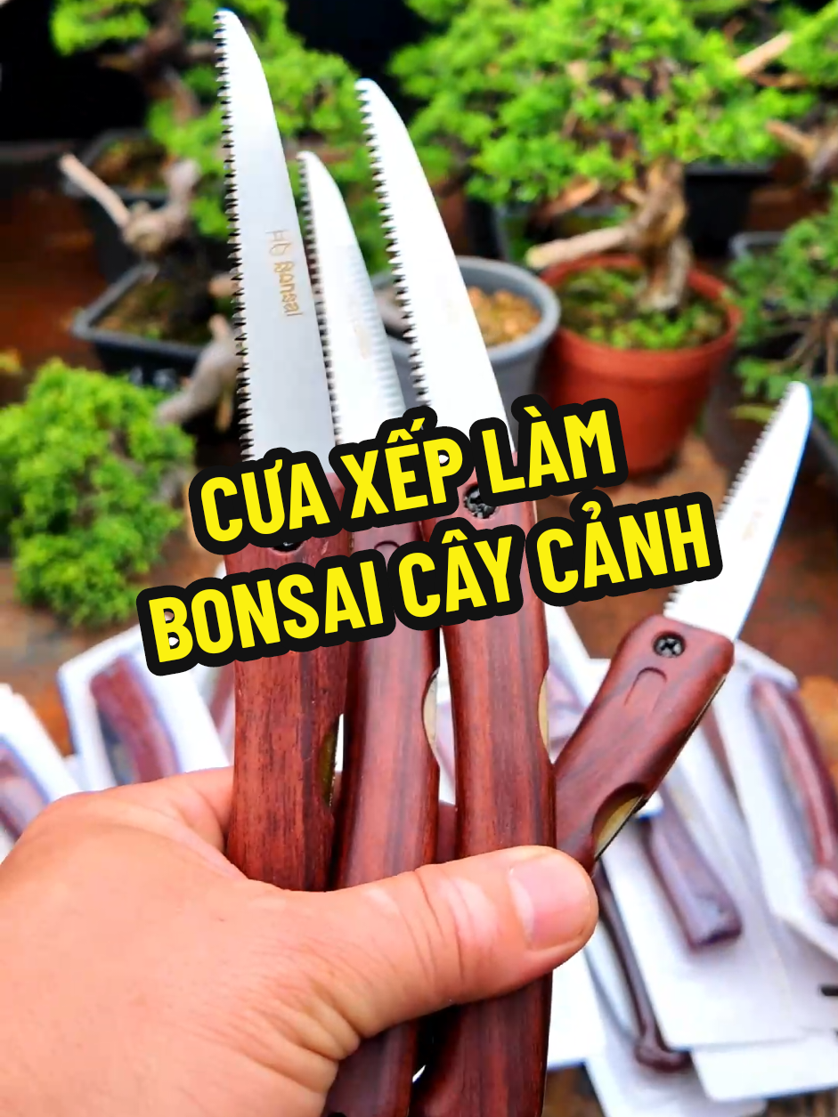 Cưa xếp gọn cầm tay rất tiện lợi và gọn, phục vụ nhu cầu tạo tác Cây cảnh, bonsai của bạn ở mọi lúc, mọi nơi #cuahd01 #dungcubonsai #dungcucaycanh #bonsaishop 
