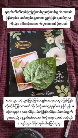 ဆရာမထက်မြတ်မေ