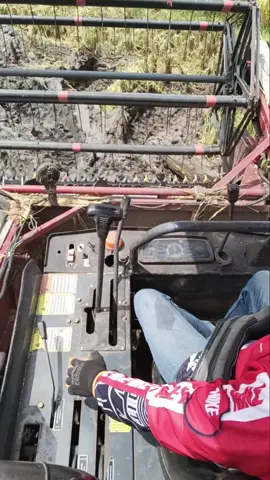 alhamdulilah rodong.e kisenan tenann iki jiii....#madiun24jam #bimo102 #ngawi24jam #combineharvester 