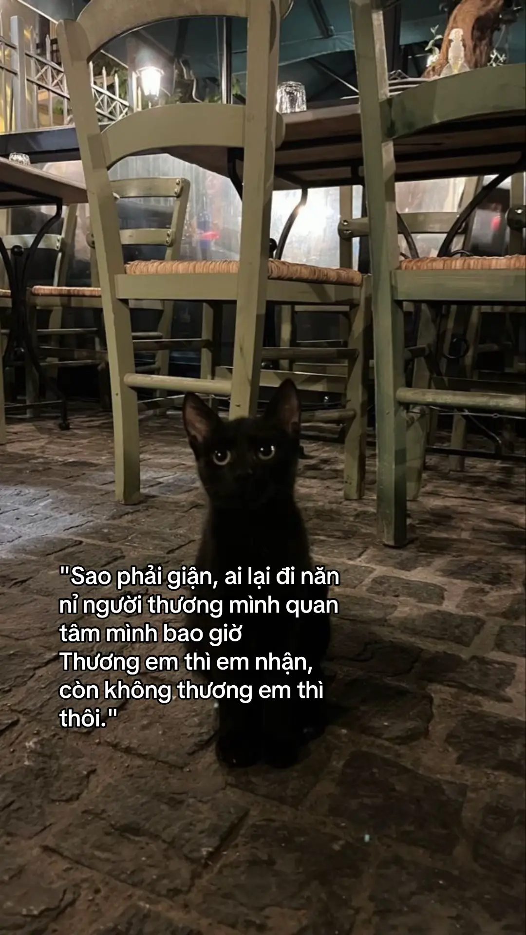 ai lại đi năn nỉ người thương mình quan tâm mình bao giờ... #fyp #xuhuongtiktok 