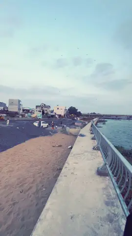 #bienhoa  #bờkèbienhoa 