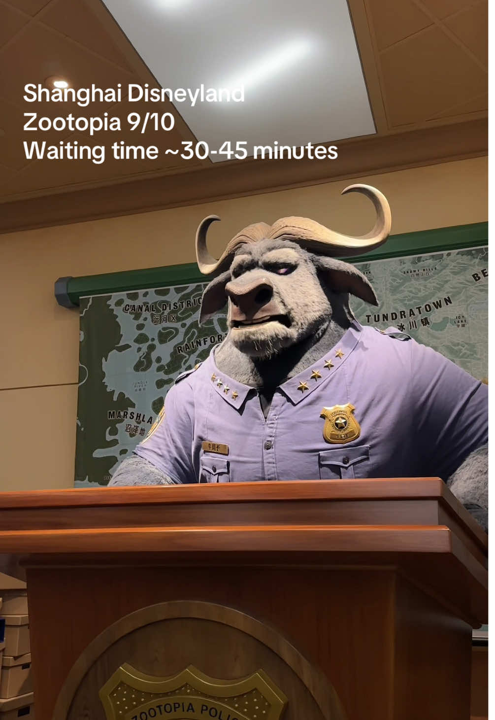 Shanghai Disneyland Zootopia  Weekdays waiting around 30-45 minutes  #shanghai #disneyland #shanghaidisneyland #zootopia 