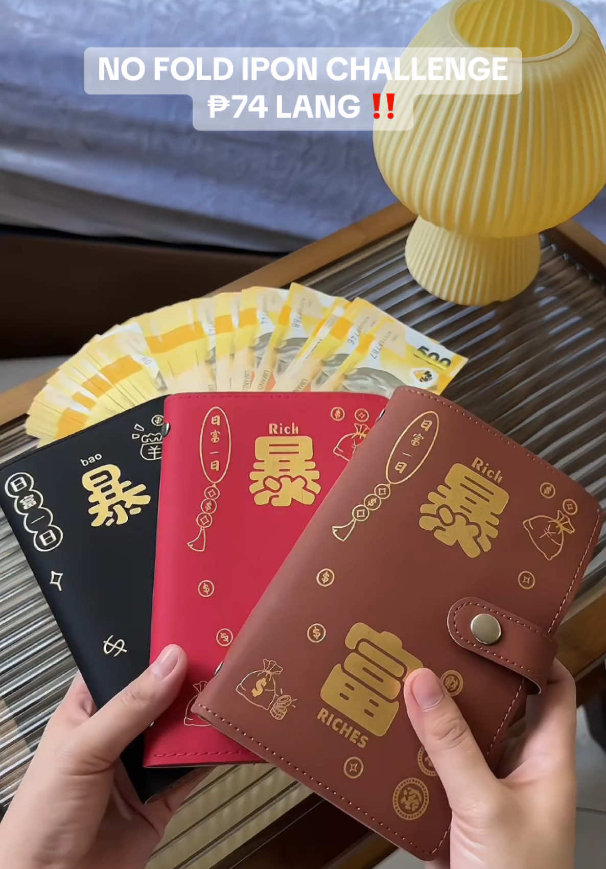 100 days envelope challenge#envelopechallenge #iponchallenge #moneybinder #moneybinderchallenge 