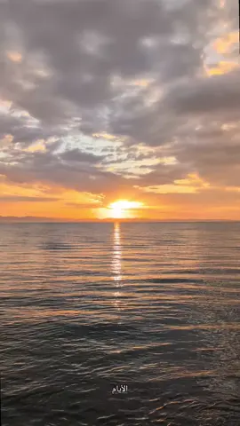 أيامنا مهما ظلامت لازم تنور  إن شاء الله يا رب تنور طريق الناس الكل و تسعدنا الحياة جميلة بحلوها و مرها  #يا #رب #إن_شاء_الله #اللهم #اللهم_امين_يارب_العالمين #يارب_فوضت_امري_اليك #فرحة #دعاء #الحياة #الحياة_حلوة 