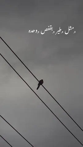 عباراتكم الفيديو #اكسبلور_محضوره_من_مشاهدات #عباراتكم_الفخمه🦋🖤🖇 #تصويري_احترافي_الاجواء👌🏻🕊😴 