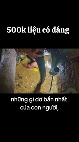 cái nghề nó bạc