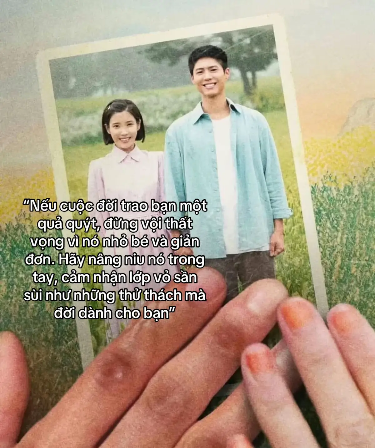 hãy trân trọng và nâng niu nó nhé.🥺  #parkbogum #IU #clousteam #trangyoocouple #viral #fyp #fyppppppppppppppppppppppp #그릅_kdramaᴖᴥᴖ #khicuocdoichobanquaquyt 