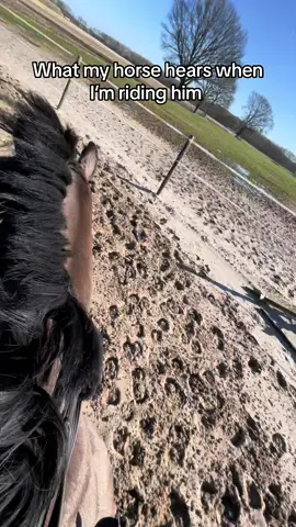 Always singing  #bighorse #horsegirl #equestrian #horseriding 