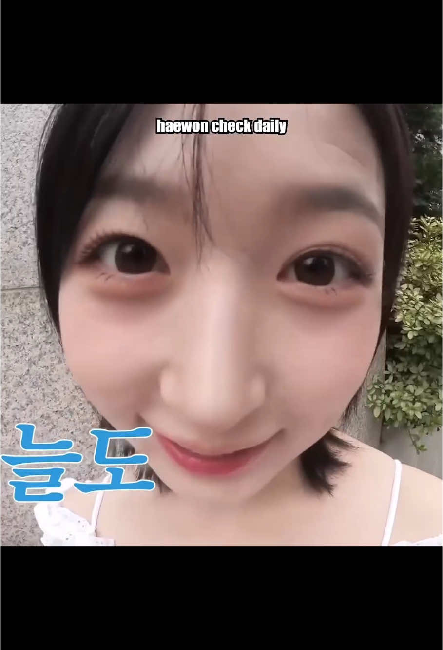 #xuhuong #xhtiktok #fyp #fypシ #viral #haewon #nmixx #sunie_💤 