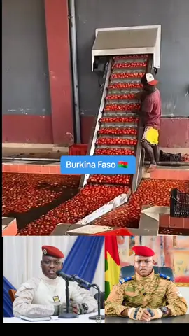 Best Natural and Healthy Tomatoes From Burkina Faso  #traore #tomatofactory #fyp #trending #viral