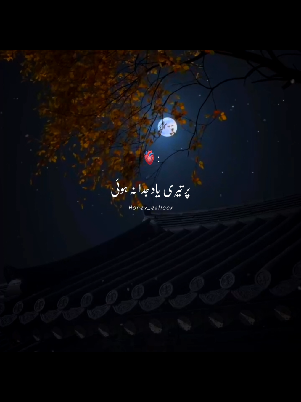 Par Teri yad Juda na hue🥺 #viral #fyp #viralvedio #songlyrics #song #songlyrics #lyricsvideos #viewsproblem #emotional #grow #account #bollywoodsong #dream100k 