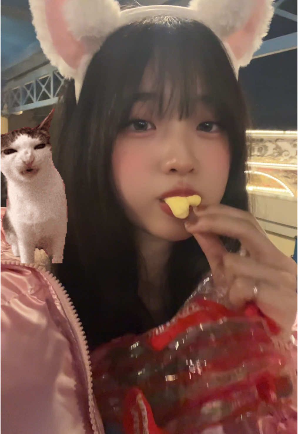 왤캐 초딩처럼 나와찌야옹 #먹방 #fyp #follow #fyppppppppppppppppppppppp #f #팔로우 #태그 #댓글 #좋아요 #추천 #데발추천떠라 #고양이 #머리띠 #놀이공원 #에버랜드 #마시멜로 #mashmallow 
