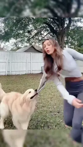 When you have a rebellious dog#US#dog #cutedog#doglover #dogsoftiktok#fyp #foryou #foryoupage#funny #fyp #funnydog#funnyvideos #funnytiktok#funnyanimals #kitty