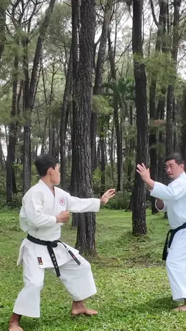 Cách này được không anh em ? #loitrankarate #thinhhanh #xuhuongtiktok #viralvideo #viralvideo 
