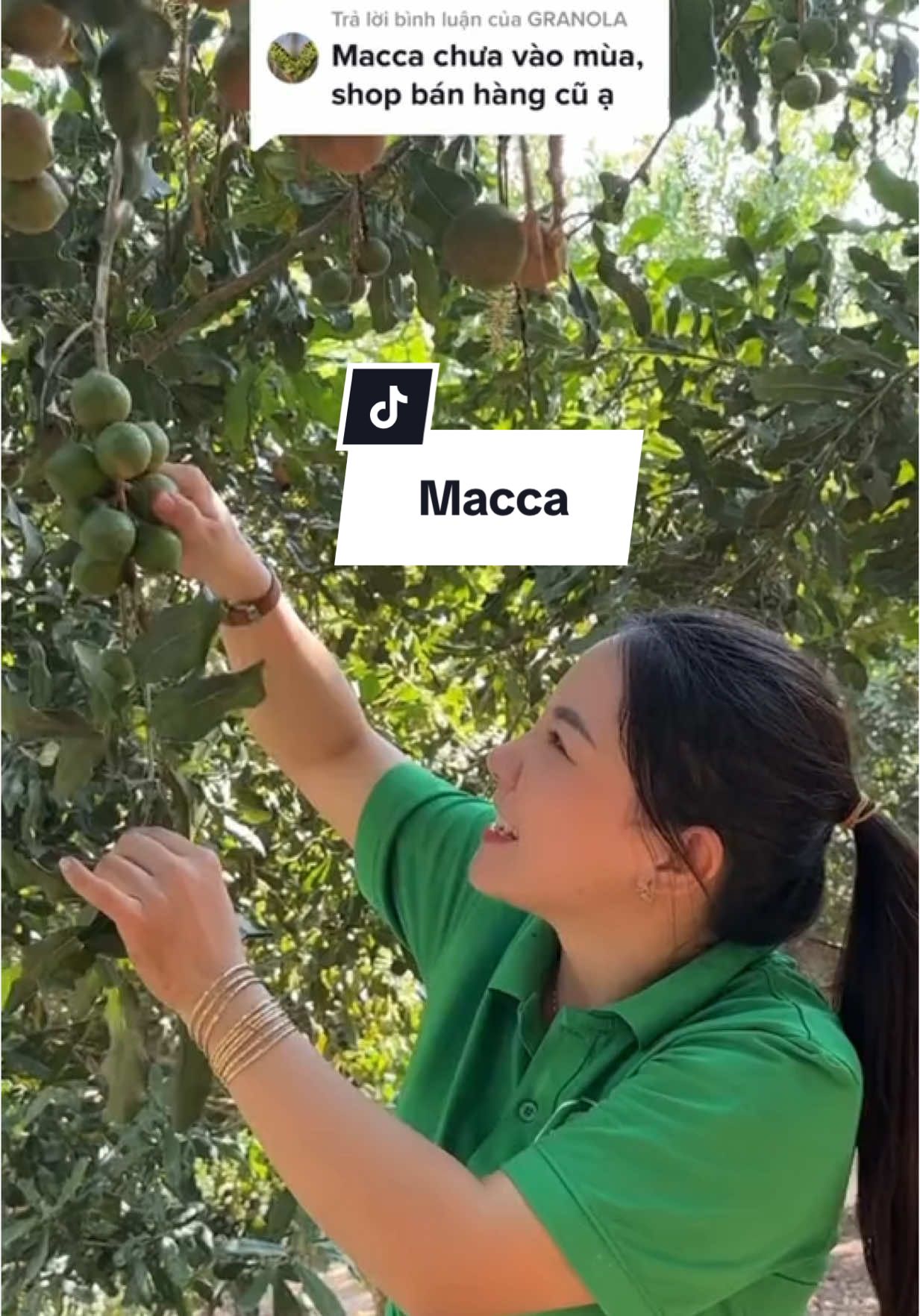 #kỷ niệm xưa Macca tươi #macca 
