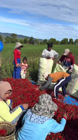 #CapCut #cabe #fypシ゚ 