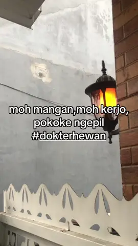 #zmn14 #fyp #jogja24jam 