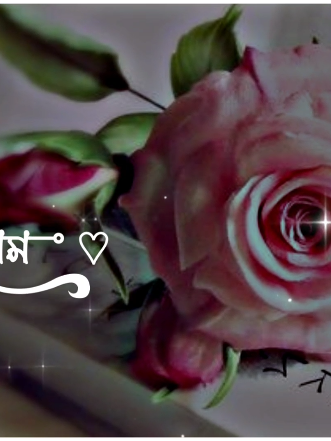 ⎯͢⎯⃝🌼সরল মনে মাইরা দিলা বিষাক্ত এক ছুরি,,,🌼🥹🎧 : #বাংলায়_স্ট্যাটাস #bangla_song #bd_status_lover_007 @TikTok @TikTok Bangladesh 
