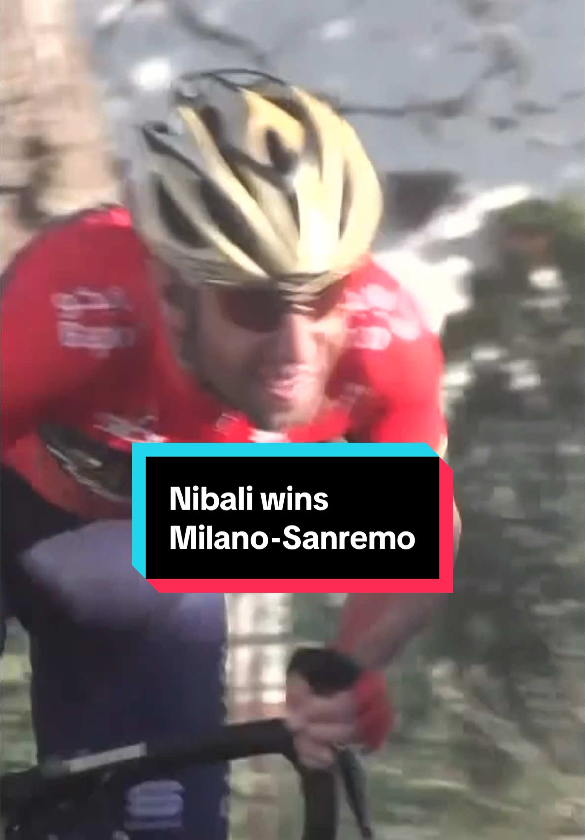 The Shark of Messina attacks 🦈 