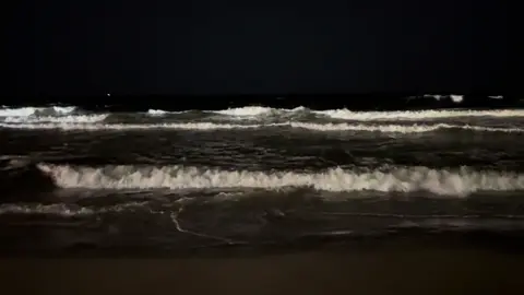 poison tree..#fyp #sea #music #nigth #beauty #poisontree #calm #blacknight #fyppp #waves #seawaves #vibe #dark #ocean  #romance 