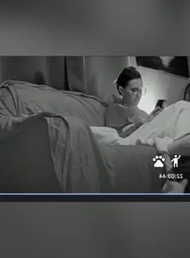 Cats under surveillance #catsoftiktok #funnycats #usa🇺🇸 #fory 