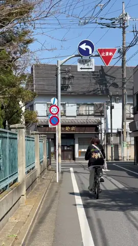 Tokyo #Tokyo #Japan #tokyolife #japanlife #japaneseculture #ghibli #studioghibli #japantiktok #tokyotravel 