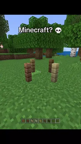 Minecraft? 💀 #Minecraft #minecraftmemes #💀 