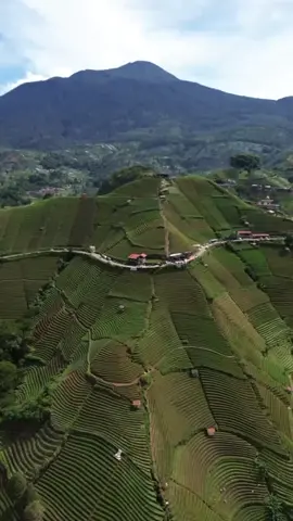 Biar kelihatan  anak pergaulan#lewatberanda #foryou #fyp #foryou #page #majalengka #indonesia🇮🇩 #cintaindonesia 